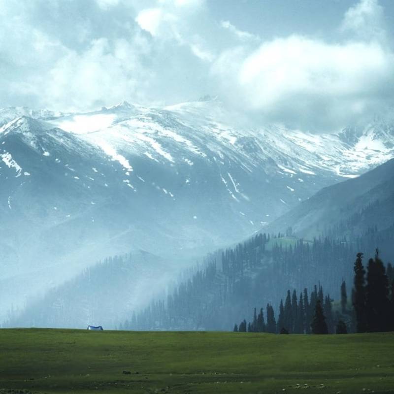 Kashmir:Political Reactions and Implications of the Pahalgam Terror Attack