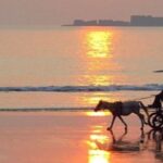 Why Mumbai Residents Are Investing in Land in Alibag