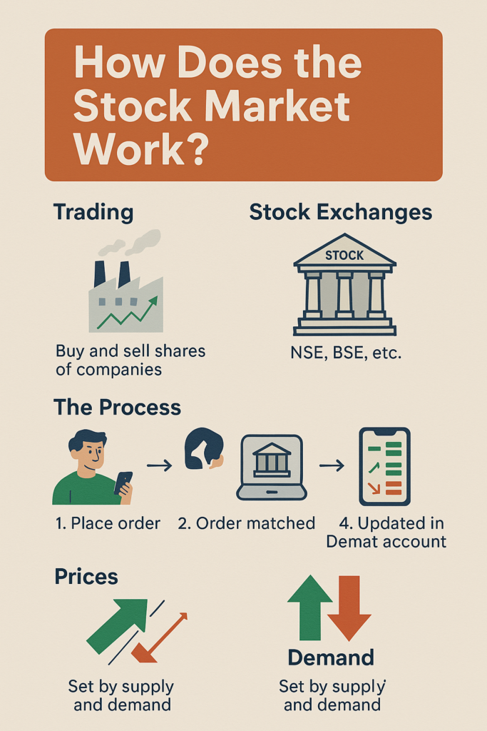 How Does the Stock Market Work